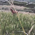 Timpa Bianca