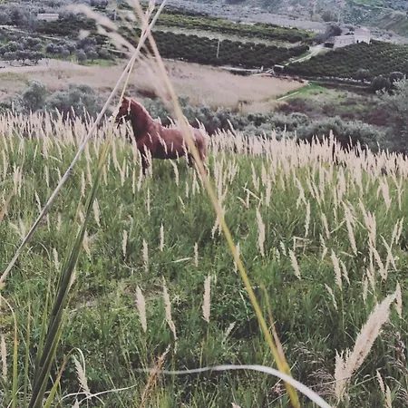 Timpa Bianca