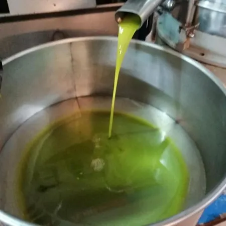 Apartment Timpa Bianca *